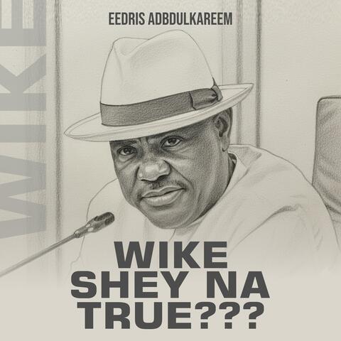 Wike, Shey Na True? album art