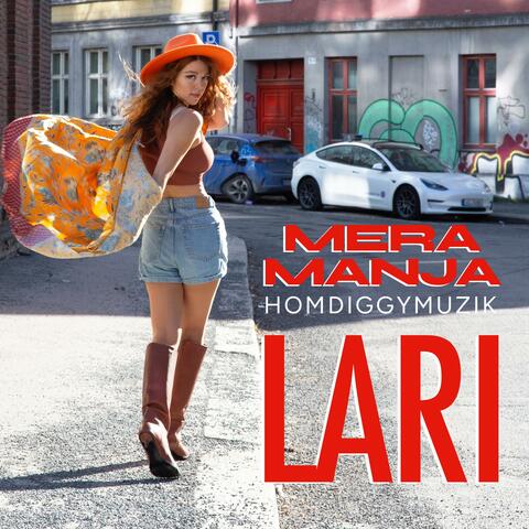 Lari album art