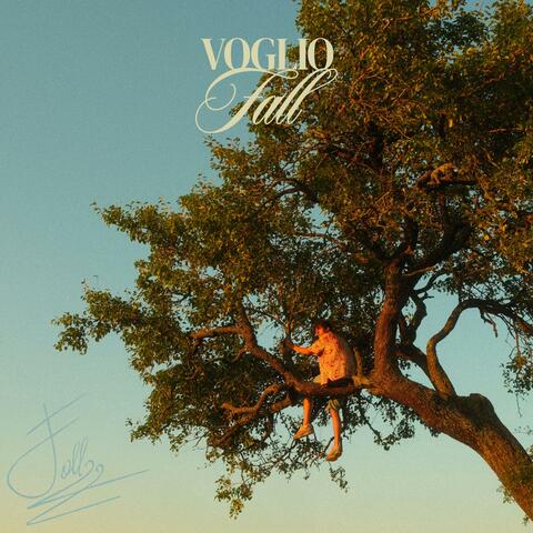 Voglio album art