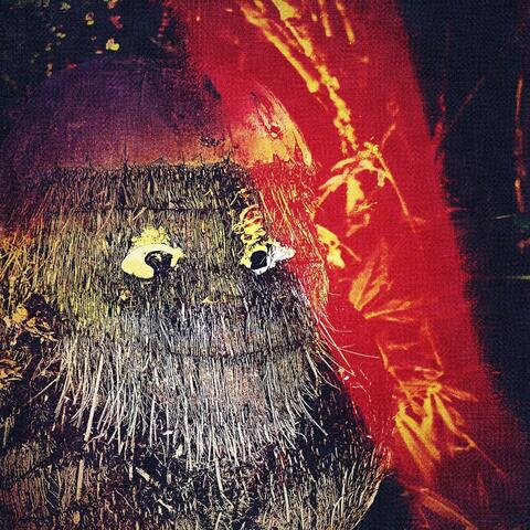 Dr Zaius album art
