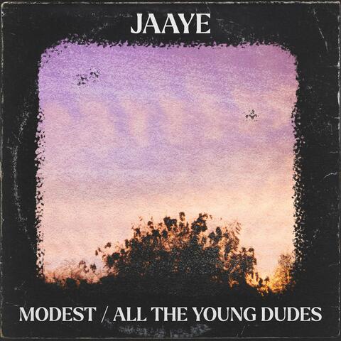Modest album art