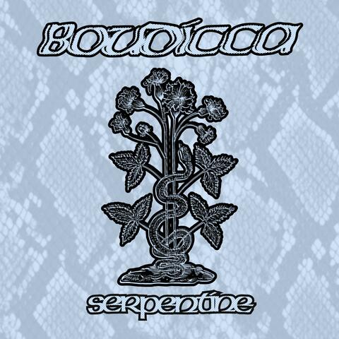 Serpentine album art