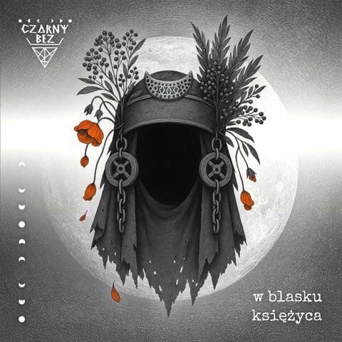 W blasku księżyca album art
