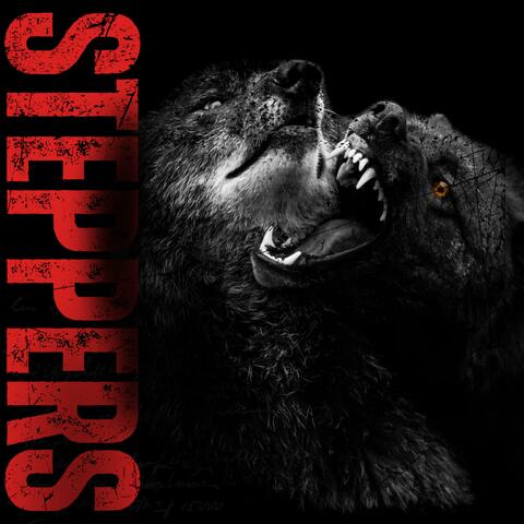 Steppers album art