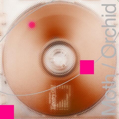 Moth / Orchid album art