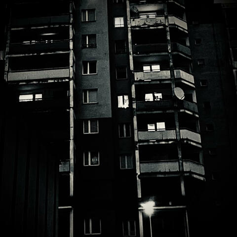 przesadzam album art