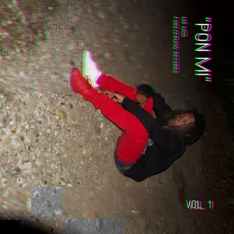 Pon Mi album art