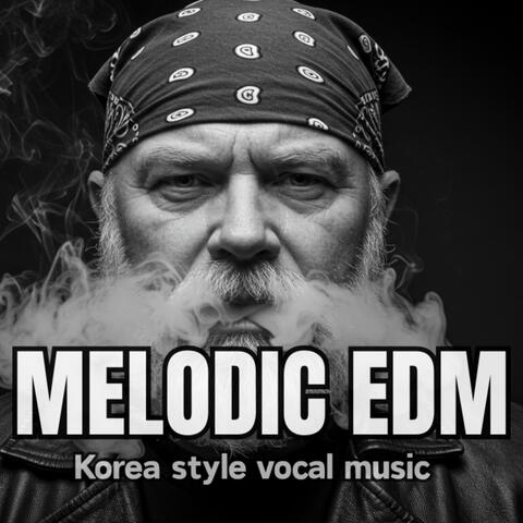 MELODIC EDM VOL 22 album art