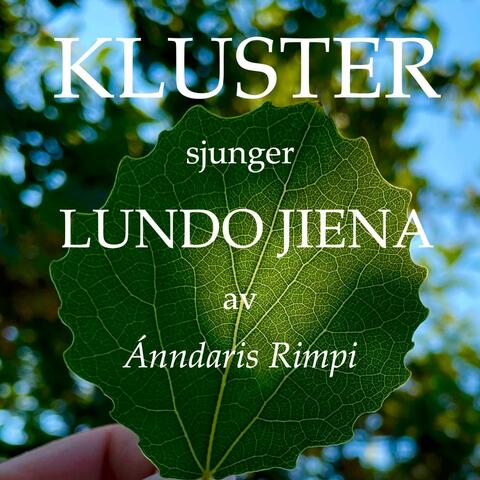Luondo Jiena - Naturens röster album art