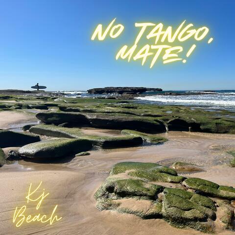 No Tango Mate album art