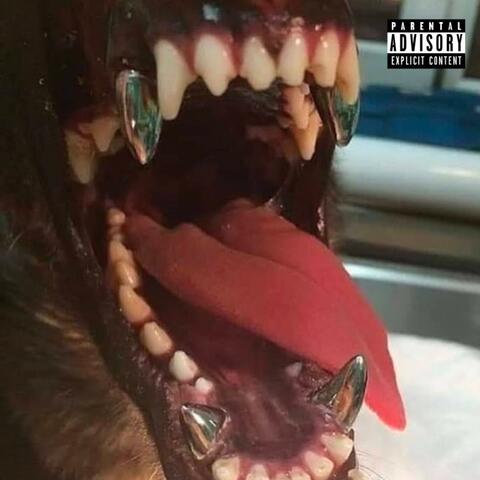 Brate Moj album art
