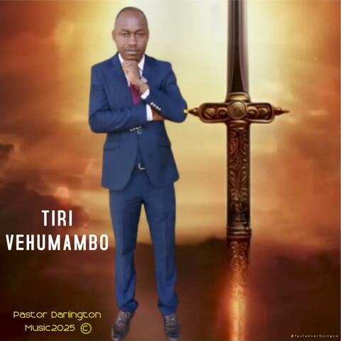Tiri Vehumambo album art