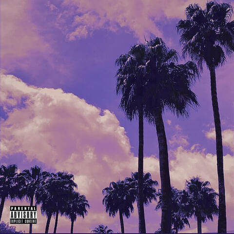 NOCHE VIOLETA album art