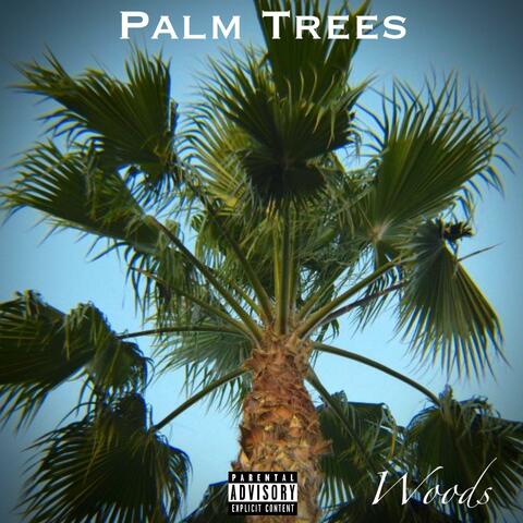 Palm Trees album art