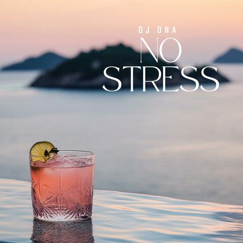 NO STRESS album art