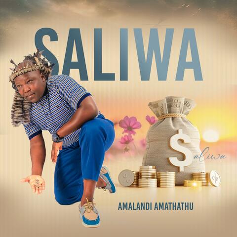 Amalandi Amathathu album art