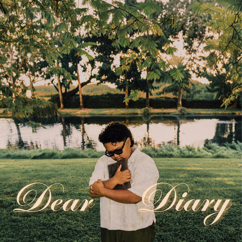 Dear Diary album art
