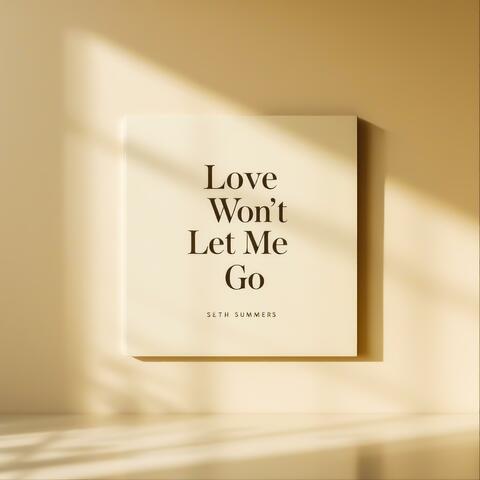 Love Won't Let Me Go album art