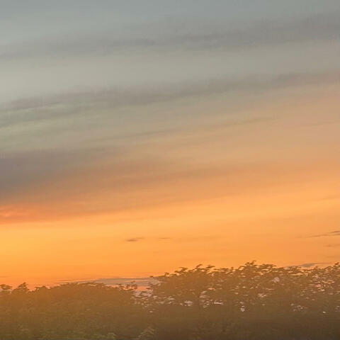 Cedar Creek album art