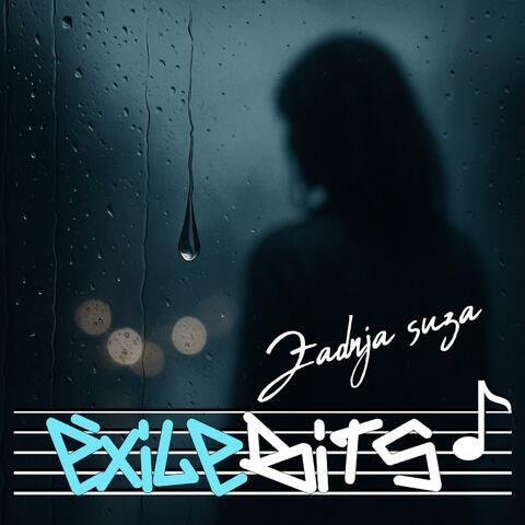 Zadnja suza album art