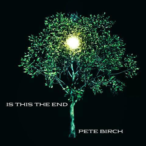 Is this the end album art