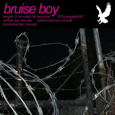 bruise boy album art