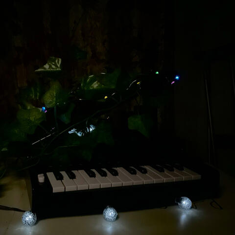 a multitude of e x p r e s s i o n album art