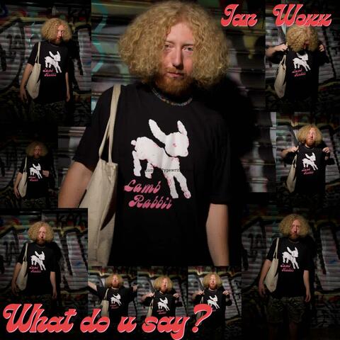 what do u say? album art