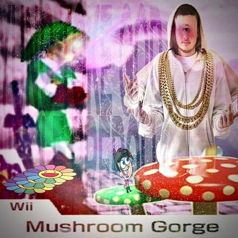 Mushroom Gorge album art
