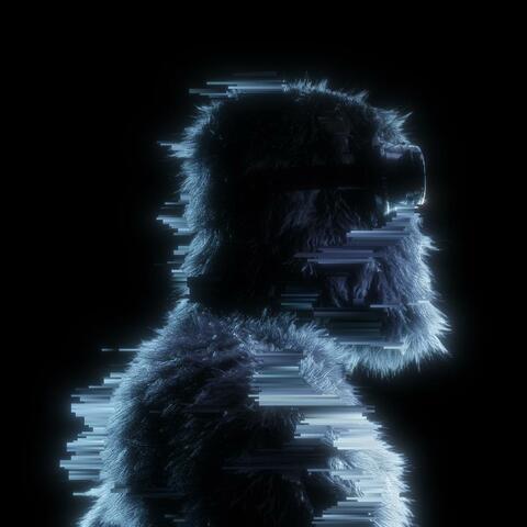 My Identity album art