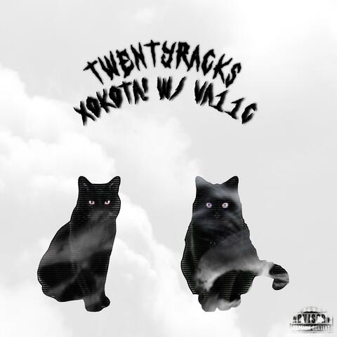 twenty racks (feat. va11c) album art