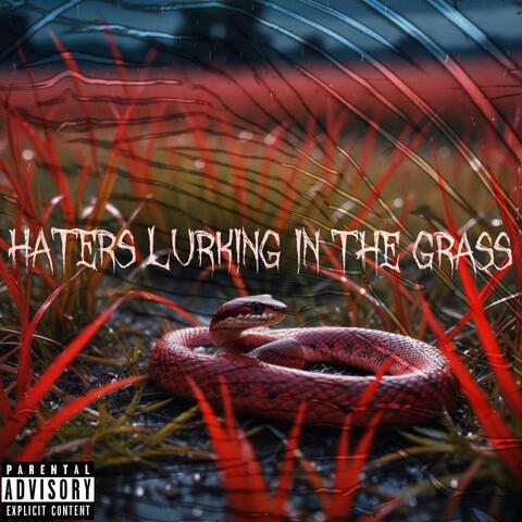Haters Lurking In The Grass album art