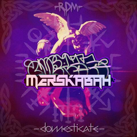 Domesticate album art