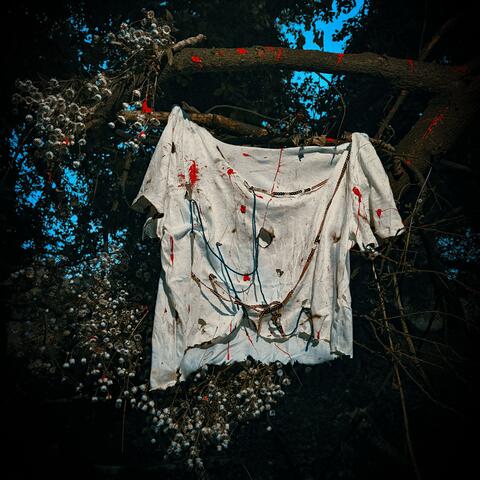 Borostyán (Live session) album art