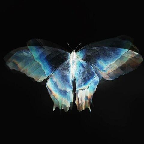 Manifest album art
