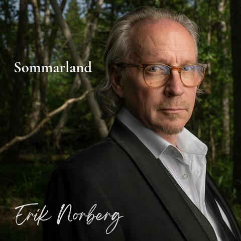 Sommarland (feat. Peter Asplund) album art