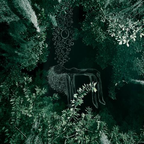 The Green Light album art