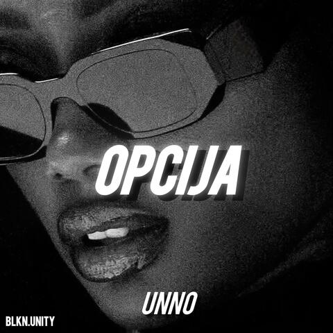 Opcija album art