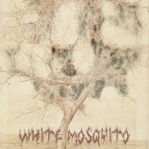 White mosquito album art