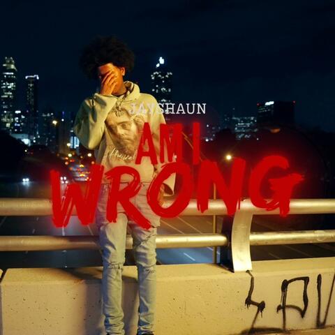 Am I Wrong album art