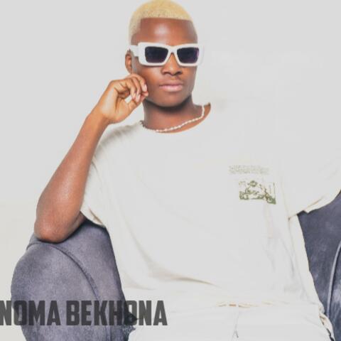 Noma bekhona album art