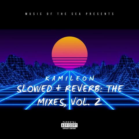 Slowed + Reverb: The Mixes, Vol. 2 album art