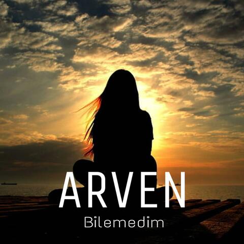 Bilemedim album art