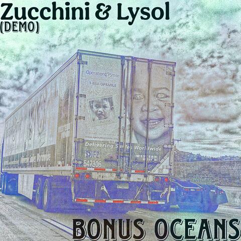 Zucchini & Lysol 5 (Demo) album art