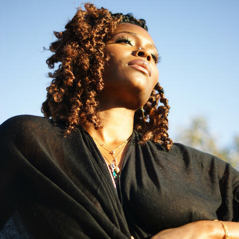 Love Chronicles: Misunderstood album art