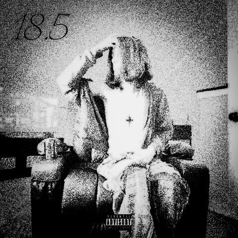 18.5 album art