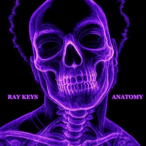 Anatomy album art