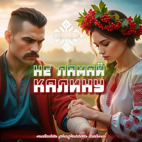 Не ламай калину (Progressive Melodic Techno) album art