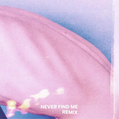 never find me (remix) album art