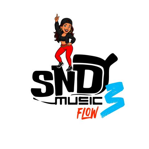 SNDY Flow 3 album art